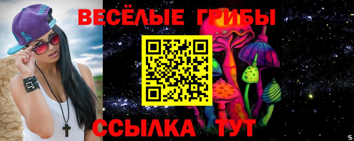 как найти закладки  Псилоцибиновые грибы MAGIC MUSHROOMS  Вход с VPN  Красноармейск  Галлюциногенные грибы Psilocybe 